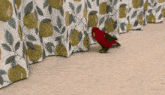 Gumi Bird Red Bird GIF - Gumi Bird Red Bird Gumi Crawl GIFs