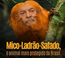 Lula Luladrao GIF - Lula Luladrao Stf GIFs
