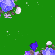 a green background with purple and white flowers and the words in arabic on it