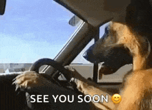 a dog is driving a car with the words `` see you soon '' written on the bottom .