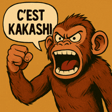 a cartoon of an angry monkey with a speech bubble that says c'est kakashi