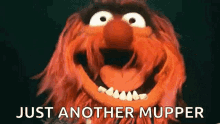 Animal Muppets GIF - Animal Muppets Scary GIFs