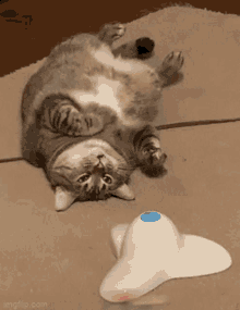 GIF