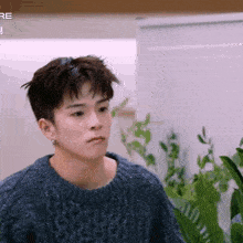 a young man in a blue sweater is standing next to a plant .