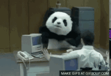 Panda Push GIF - Panda Push Computer GIFs