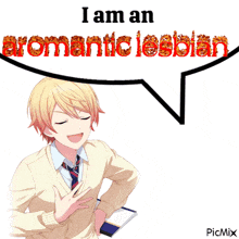 a picture of a boy with a speech bubble that says i am an romantic lesbian