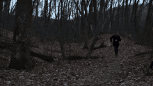 a person in a black coat is running through a forest