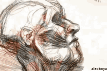 a drawing of a man 's face with alexboya written on the bottom right