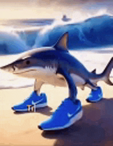 a shark wearing blue nike shoes is standing on a beach .