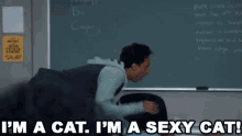 A Sexy Cat - Community GIF - Abed Nadir Sexy Cat Cat GIFs