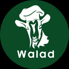 Walad Aqiqah GIF - Walad Aqiqah Logo GIFs