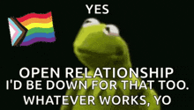 kermit the frog says yes open relationship i d be down for that too whatever works yo