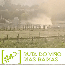 a sign for ruta do vino rias baixas shows a fenced in field