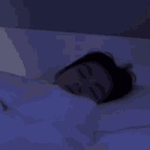 Wonie Sleep GIF - Wonie Sleep Catwonie GIFs