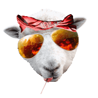 Party Animal Sheep Sticker - Party Animal Sheep Cool Stickers