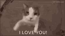 I Love You Shoshi GIF - I Love You Shoshi Kiss GIFs