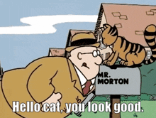 Schoolhouse Rock Mr Morton GIF - Schoolhouse Rock Mr Morton Hello Cat You Look Good GIFs
