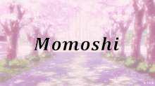 momoshi is written on a purple background with cherry blossom trees