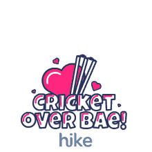 cricket love i love cricket ipl ipl2020 cricket