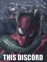 a picture of a spider man with the words this discord written below him
