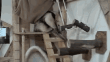 a monkey is sitting on a wooden staircase in a room .