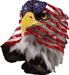 eagle flag glitter america