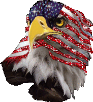 Eagle Flag Sticker - Eagle Flag Glitter Stickers