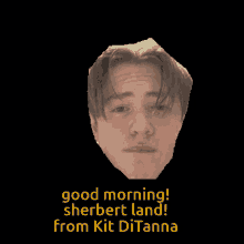Kit Connor Good Morning GIF - Kit Connor Good Morning Sherbert Land GIFs