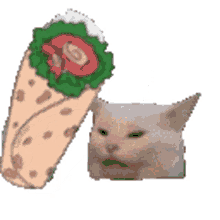 bonk cat burrito