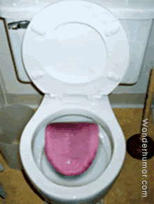 toilet tongue licking