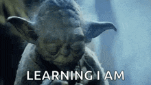 a close up of a statue of yoda with the words `` learning i am '' behind him .