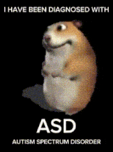 a picture of a hamster that says i have been diagnosed with asd