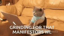 Manifestors Whitelist GIF - Manifestors Whitelist Wl GIFs