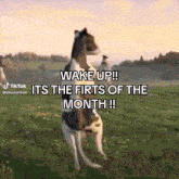 New Month First Day Of The Month GIF - New Month First Day Of The Month GIFs