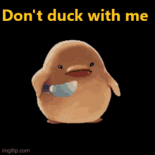Dont Duck With Me Duck GIF - Dont Duck With Me Duck Fight Me GIFs