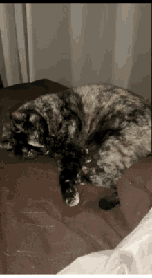 Sleepy Kitty GIF - Sleepy Kitty Cat GIFs