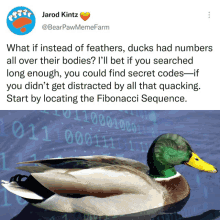 Math Duck GIF - Math Duck Numbers GIFs
