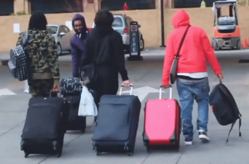 Luggages Packed Up GIF - Luggages Packed Up Trolleys - Discover & Share GIFs