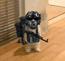 a cat wearing a helmet and a mask with a gun