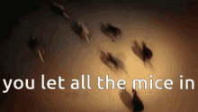 You Let All The Mice In Mice GIF - You Let All The Mice In Mice Rats GIFs