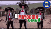 Mayo Mayocoin GIF - Mayo Mayocoin Cinco De Mayo GIFs