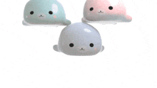 Seal Jelly GIF - Seal Jelly Mochi GIFs