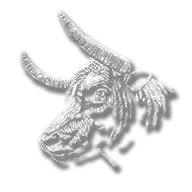 a black and white drawing of a bull 's head with horns and a shadow .