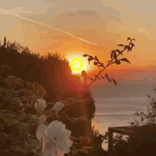 Bitcoin Sun GIF - Bitcoin Sun Light GIFs