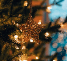 Kerst1 GIF - Kerst1 GIFs