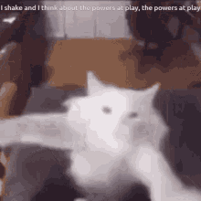 I Shake And I Think About The Powers At Play GIF - I Shake And I Think About The Powers At Play The Powers At Play GIFs
