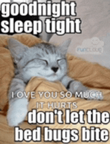 a cat is sleeping in a bed with the words `` goodnight sleep tight '' written on it