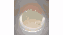 a person is pouring liquid into a glass measuring cup .