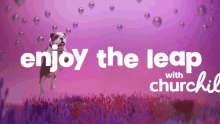 enjoy the leap churchill churchie churchill dog chillscape