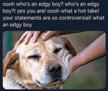 a person petting a dog 's head with the caption oooh who 's an edgy boy ?